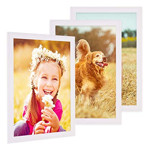 PHOTOLINI Bilderrahmen 20x30 cm Holz Weiß Landhaus-Stil, 3er Set Holz-Rahmen, Made in Germany, Echtglas, zum Aufhängen, mit Zubehör - perfekt für Familienfotos & Urlaubsbilder von PHOTOLINI