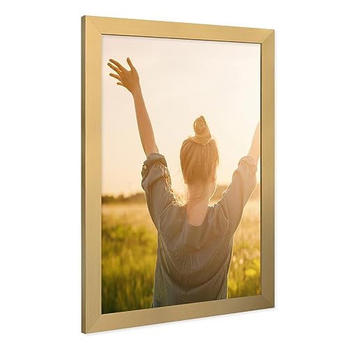 PHOTOLINI Bilderrahmen 30x40 Holz MDF Gold, breite Rahmen 30x40 Gold mit Acrylglas, picture frame 30 x 40 zum Aufhängen, Bilderrahmen 40x30 cm plus Zubehör - zur Fotorahmen Wanddekoration PHOTOLINI Bilderrahmen 30x40 Holz MDF Gold, breite Rahmen 30x40 Gold mit Acrylglas, picture frame 30 x 40 zum Aufhängen, Bilderrahmen 40x30 cm plus Zubehör - zur Fotorahmen Wanddekoration von PHOTOLINI