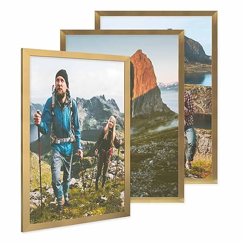 PHOTOLINI Bilderrahmen 50x70 Gold 3er Set, Puzzle Rahmen 50x70 Holz MDF mit Acrylglas, Bilderrahmen 70x50 groß zum Aufhängen, Picture Frame Rahmen 70x50 mit Zubehör, Posterrahmen für Fotos & Poster PHOTOLINI Bilderrahmen 50x70 Gold 3er Set, Puzzle Rahmen 50x70 Holz MDF mit Acrylglas, Bilderrahmen 70x50 groß zum Aufhängen, Picture Frame Rahmen 70x50 mit Zubehör, Posterrahmen für Fotos & Poster von PHOTOLINI