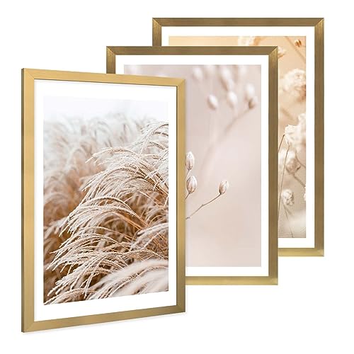 PHOTOLINI Bilderrahmen A2 42x59,4 cm Gold MDF-Holz, breite Rahmen, 3er Set, modern, bruchsicheres Acrylglas, zum Aufhängen, extra Zubehör - für Ihre stilvolle Wanddekoration PHOTOLINI Bilderrahmen A2 42x59,4 cm Gold MDF-Holz, breite Rahmen, 3er Set, modern, bruchsicheres Acrylglas, zum Aufhängen, extra Zubehör - für Ihre stilvolle Wanddekoration von PHOTOLINI