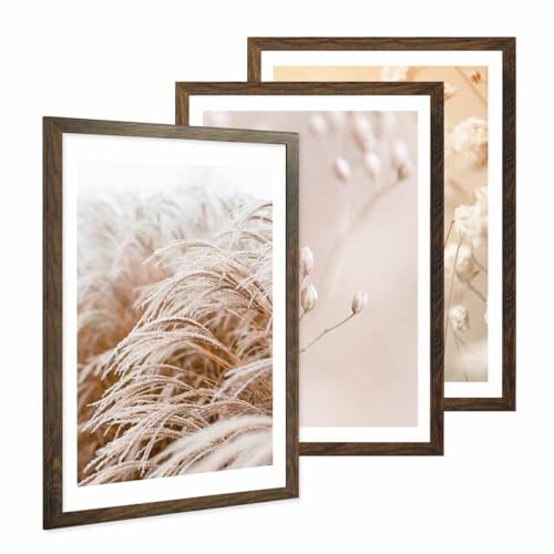 PHOTOLINI Bilderrahmen A2 42x59,4 cm MDF-Holz Eiche Dunkel, breite Rahmen, 3er Set, modern, bruchsicheres Acrylglas, zum Aufhängen, extra Zubehör - für Ihre stilvolle Wanddekoration PHOTOLINI Bilderrahmen A2 42x59,4 cm MDF-Holz Eiche Dunkel, breite Rahmen, 3er Set, modern, bruchsicheres Acrylglas, zum Aufhängen, extra Zubehör - für Ihre stilvolle Wanddekoration von PHOTOLINI