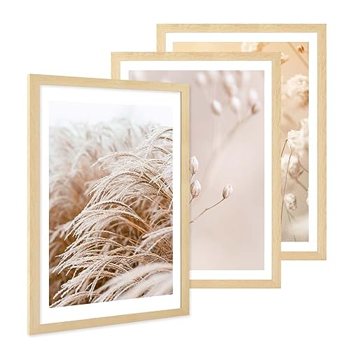 PHOTOLINI Bilderrahmen A2 42x59,4 cm MDF-Holz Natur, breite Rahmen, 3er Set, modern, bruchsicheres Acrylglas, zum Aufhängen, extra Zubehör - für Ihre stilvolle Wanddekoration PHOTOLINI Bilderrahmen A2 42x59,4 cm MDF-Holz Natur, breite Rahmen, 3er Set, modern, bruchsicheres Acrylglas, zum Aufhängen, extra Zubehör - für Ihre stilvolle Wanddekoration von PHOTOLINI