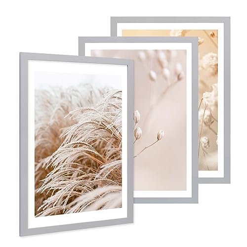 PHOTOLINI Bilderrahmen A2 42x59,4 cm Silber MDF-Holz, breite Rahmen, 3er Set, modern, bruchsicheres Acrylglas, zum Aufhängen, extra Zubehör - für Ihre stilvolle Wanddekoration PHOTOLINI Bilderrahmen A2 42x59,4 cm Silber MDF-Holz, breite Rahmen, 3er Set, modern, bruchsicheres Acrylglas, zum Aufhängen, extra Zubehör - für Ihre stilvolle Wanddekoration von PHOTOLINI