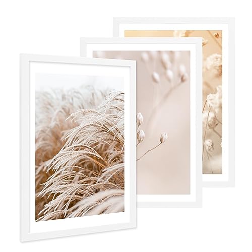 PHOTOLINI Bilderrahmen A2 42x59,4 cm Weiß MDF-Holz, breite Rahmen, 3er Set, modern, bruchsicheres Acrylglas, zum Aufhängen, extra Zubehör - für Ihre stilvolle Wanddekoration PHOTOLINI Bilderrahmen A2 42x59,4 cm Weiß MDF-Holz, breite Rahmen, 3er Set, modern, bruchsicheres Acrylglas, zum Aufhängen, extra Zubehör - für Ihre stilvolle Wanddekoration von PHOTOLINI
