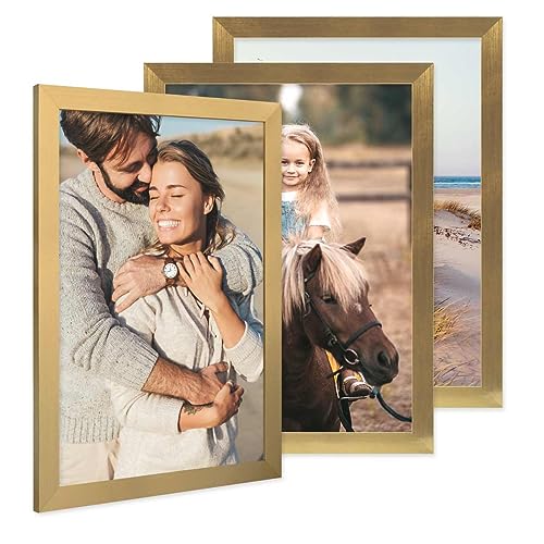 PHOTOLINI Bilderrahmen A3 Holz MDF Gold, 3er Set A3 Bilderrahmen 30x42 breit, Rahmen DINA3 mit Acrylglas, Picture Frame 42 x 30 zum Aufhängen, Frame DIN A 3 42x30 mit Zubehör für Deine Wandideen PHOTOLINI Bilderrahmen A3 Holz MDF Gold, 3er Set A3 Bilderrahmen 30x42 breit, Rahmen DINA3 mit Acrylglas, Picture Frame 42 x 30 zum Aufhängen, Frame DIN A 3 42x30 mit Zubehör für Deine Wandideen von PHOTOLINI