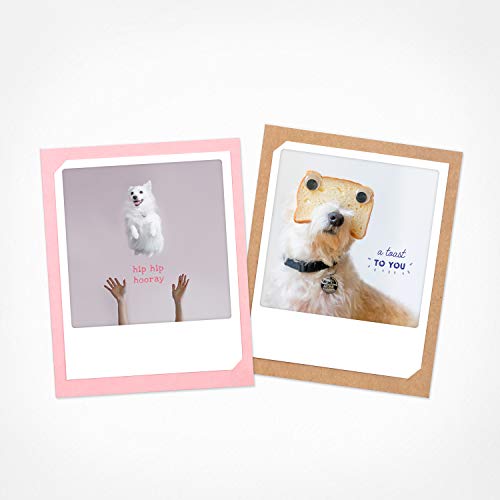 PICKMOTION Hunde | 2er Set Klappkarten | Grußkarten - inkl. Umschlag, Bilder von Instagram Fotografen designed in Berlin - Grußkarten, bunt, BKK-0163-EN von PICKMOTION