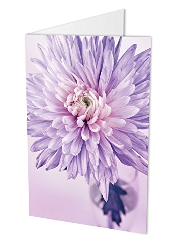 Maxi-Karte CHRYSANTHEME, Klappkarte DIN A4 mit Kuvert, Blumenkarte, Geburtstagskarte, Glückwunschkarte, Glückwünsche, Gratulation, Blume Maxi-Karte CHRYSANTHEME, Klappkarte DIN A4 mit Kuvert, Blumenkarte, Geburtstagskarte, Glückwunschkarte, Glückwünsche, Gratulation, Blume von PICSonPAPER
