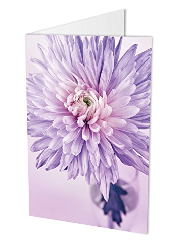 Maxi-Karte CHRYSANTHEME, Klappkarte DIN A4 mit Kuvert, Blumenkarte, Geburtstagskarte, Glückwunschkarte, Glückwünsche, Gratulation, Blume von PICSonPAPER