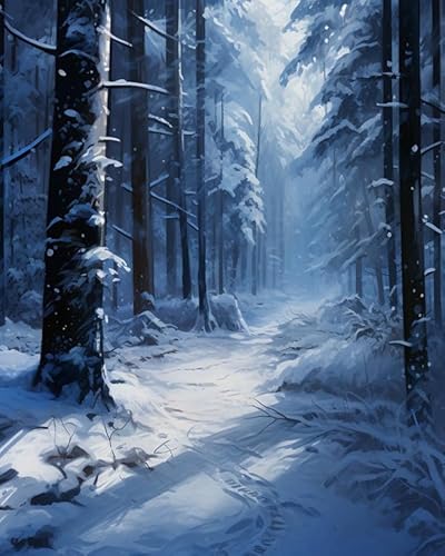 Malen nach Zahlen-Sets zum Selbermachen für Erwachsene, Anfänger,Winter Wald Schnee,Malen-nach-Zahlen-Sets für Erwachsene,Malsets, Leinwandgeschenke, Kunsthandwerk für die Heimdekoration,40x50cm Malen nach Zahlen-Sets zum Selbermachen für Erwachsene, Anfänger,Winter Wald Schnee,Malen-nach-Zahlen-Sets für Erwachsene,Malsets, Leinwandgeschenke, Kunsthandwerk für die Heimdekoration,40x50cm von PIPISKY