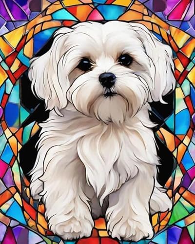 Malen nach Zahlen für KinderErwachseneAnfänger,Malteser Hund,DIY Malen nach Zahlen auf LeinwandÖlgemäldeFarbe mit Pinsel und Pigment,16x20Zoll ohne Rahmen Malen nach Zahlen für KinderErwachseneAnfänger,Malteser Hund,DIY Malen nach Zahlen auf LeinwandÖlgemäldeFarbe mit Pinsel und Pigment,16x20Zoll ohne Rahmen von PIPISKY