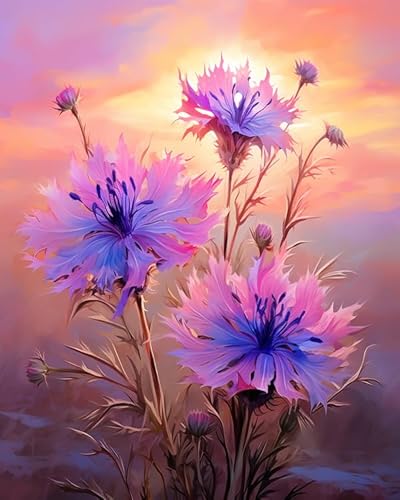 PIPISKY Malen nach Zahlen,Schöne Kornblume, Sonnenuntergang, lila Himmel,Exquisite Ölgemälde-nach-Zahlen-Sets für Anfänger,40x50cm,Ohne Rahmen PIPISKY Malen nach Zahlen,Schöne Kornblume, Sonnenuntergang, lila Himmel,Exquisite Ölgemälde-nach-Zahlen-Sets für Anfänger,40x50cm,Ohne Rahmen von PIPISKY
