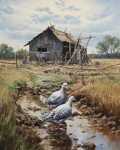 PIPISKY Malen nach Zahlen,geführtes Malset,Ein Durcheinander von Tauben,Bunte Kreationen: Malen nach Zahlen zum Selbermachen,40x50cm,Ohne Rahmen PIPISKY Malen nach Zahlen,geführtes Malset,Ein Durcheinander von Tauben,Bunte Kreationen: Malen nach Zahlen zum Selbermachen,40x50cm,Ohne Rahmen von PIPISKY
