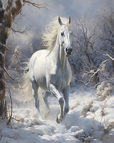 PIPISKY Malen nach Zahlen für Erwachsene,Weißes Pferd, Winter, Schnee,DIY-Acrylmalerei-Geschenk, Zeichnung, Malerei zum Entspannen und als Wanddekoration zu Hause,40x50cm,Ohne Rahmen PIPISKY Malen nach Zahlen für Erwachsene,Weißes Pferd, Winter, Schnee,DIY-Acrylmalerei-Geschenk, Zeichnung, Malerei zum Entspannen und als Wanddekoration zu Hause,40x50cm,Ohne Rahmen von PIPISKY