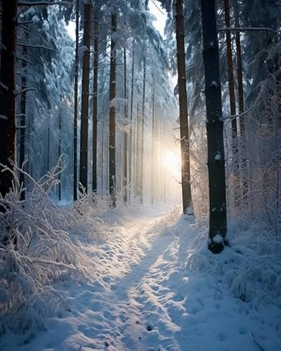 PIPISKY Malen nach Zahlen für Erwachsene,Winter Wald Schnee,DIY-Acrylmalerei-Geschenk, Zeichnung, Malerei zum Entspannen und als Wanddekoration zu Hause,40x50cm,Ohne Rahmen PIPISKY Malen nach Zahlen für Erwachsene,Winter Wald Schnee,DIY-Acrylmalerei-Geschenk, Zeichnung, Malerei zum Entspannen und als Wanddekoration zu Hause,40x50cm,Ohne Rahmen von PIPISKY