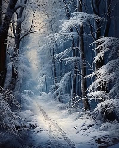 PIPISKY Malen nach Zahlen für Erwachsene – Winter Wald Schnee: Halbfertigprodukt, Anfänger, Acryl-Malen-nach-Zahlen-Leinwandbild als Geschenkdekoration, 40x50cm, Ohne Rahmen PIPISKY Malen nach Zahlen für Erwachsene – Winter Wald Schnee: Halbfertigprodukt, Anfänger, Acryl-Malen-nach-Zahlen-Leinwandbild als Geschenkdekoration, 40x50cm, Ohne Rahmen von PIPISKY