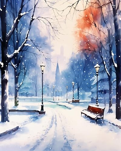 PIPISKY Malen nach Zahlen für Erwachsene und Anfänger,Winter,Park,Schnee,Malen-nach-Zahlen-Set auf Leinwand ohne Rahmen,Ölgemälde-Set für Heimdekoration,40x50cm von PIPISKY