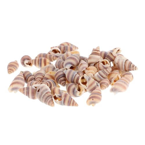 PLAFOPE 100 Stück Muschel Anhänger Auffädeln DIY Schmuckanhänger für Halsketten Armbänder Ohrringe Strandinspiriert Vielseitig Einsetzbar für Kreative Schmuckgestaltung PLAFOPE 100 Stück Muschel Anhänger Auffädeln DIY Schmuckanhänger für Halsketten Armbänder Ohrringe Strandinspiriert Vielseitig Einsetzbar für Kreative Schmuckgestaltung von PLAFOPE