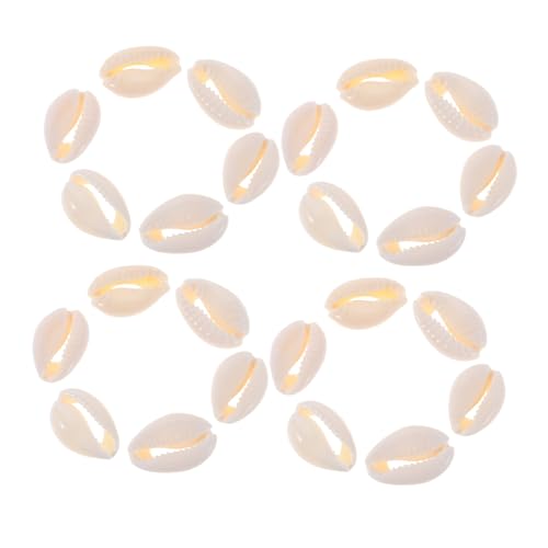 PLAFOPE 100 Stück Natürliche Muschelperlen mit Mittlere Dekorative Schmuckherstellung Zubehör DIY Armbänder Haarschmuck und Bastelideen für Strandparty-dekoration von PLAFOPE