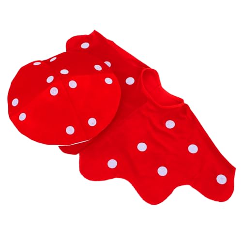 PLAFOPE Pilz Kostüm Set für Erwachsene mit Mütze und Umhang Auffälliges Design Einfach Anzuziehen für Karneval Bühnenauftritte und Festtagsfeiern PLAFOPE Pilz Kostüm Set für Erwachsene mit Mütze und Umhang Auffälliges Design Einfach Anzuziehen für Karneval Bühnenauftritte und Festtagsfeiern von PLAFOPE