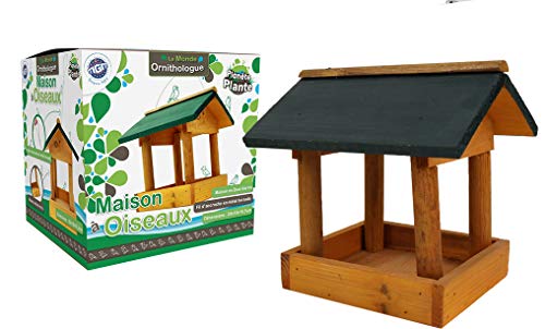 PLANETE Plante - Vogelhaus - Entdeckungs- und Naturset - 170422 - Holz - Garten - Natur - Umwelt - Bildung - Erforschen - Kinderspiel - Ab 4 Jahren von PLANÈTE PLANTE