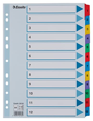 Esselte Register 1-12 A4, 10er Pack, Mylar, mehrfarbig, 100162 Esselte Register 1-12 A4, 10er Pack, Mylar, mehrfarbig, 100162 von PLATINUM