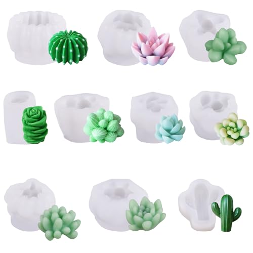 9/10 Stück 3D-Formen aus Silikon für Kaktusblumen, Gießformen-Set für handgefertigte Projekte und künstlerische Kreationen von PLCPDM