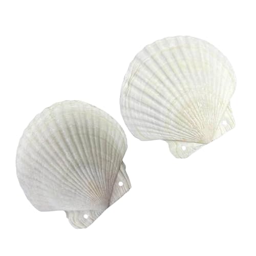 Reflliable Notebook Natural Shell Form Binder Planer Journal Notepads Für Kreative Köpfe Und Naturstile Schreiben von PLCPDM
