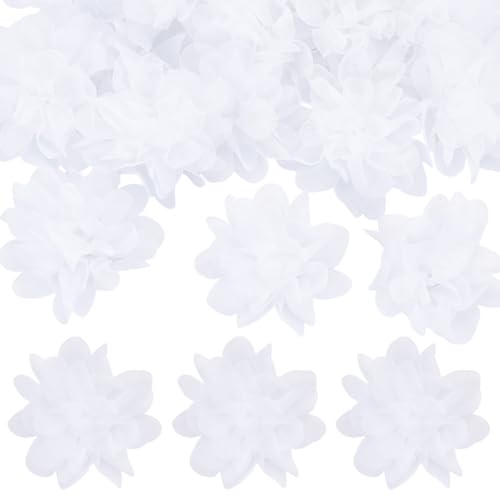 PLIGREAT Weiße Chiffon-Blumen, 7 cm, Chiffon, gerüscht, Stoffblumen, 3D-Blumenaufnäher für DIY-Schuhe, Stirnbänder, Basteln, Hochzeit, Brautkleid, Party, Geschenkverpackung, Dekoration, 20 Stück PLIGREAT Weiße Chiffon-Blumen, 7 cm, Chiffon, gerüscht, Stoffblumen, 3D-Blumenaufnäher für DIY-Schuhe, Stirnbänder, Basteln, Hochzeit, Brautkleid, Party, Geschenkverpackung, Dekoration, 20 Stück von PLIGREAT