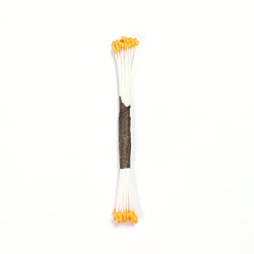 PME STAM02P Staubgefäße für Zuckerblumen, fein, schlicht, Kunststoff, Orange, 0.1 x 0.11 x 7.4 cm PME STAM02P Staubgefäße für Zuckerblumen, fein, schlicht, Kunststoff, Orange, 0.1 x 0.11 x 7.4 cm von PME