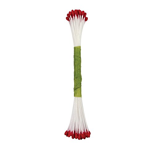 PME STAM02R Staubgefäße für Zuckerblumen, fein, schlicht, Kunststoff, Rot, 0.1 x 0.11 x 7.4 cm PME STAM02R Staubgefäße für Zuckerblumen, fein, schlicht, Kunststoff, Rot, 0.1 x 0.11 x 7.4 cm von PME
