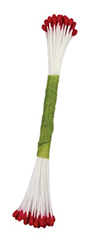 PME STAM04R Staubgefäße für Zuckerblumen, groß, schlicht, Kunststoff, Rot, 0.1 x 0.11 x 7.4 cm, 1 Einheiten PME STAM04R Staubgefäße für Zuckerblumen, groß, schlicht, Kunststoff, Rot, 0.1 x 0.11 x 7.4 cm, 1 Einheiten von PME