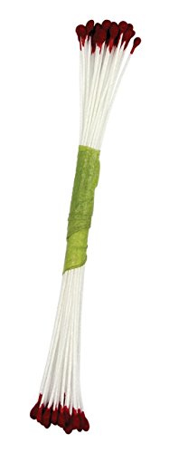 PME STAM12BG Staubgefäße für Zuckerblumen, groß, Kunststoff, Perl-weinrot, 0.1 x 0.11 x 7.4 cm PME STAM12BG Staubgefäße für Zuckerblumen, groß, Kunststoff, Perl-weinrot, 0.1 x 0.11 x 7.4 cm von PME