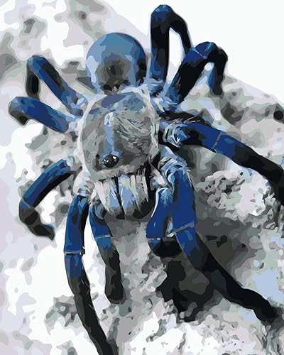 PNDGMCSY Malen nach Zahlen Blaue Spinne Gemälde Erwachsene DIY Kunstwerk Bild Dekor Wohnzimmer Schlafzimmer Senior Frau Anfänger 40x50 cm von PNDGMCSY