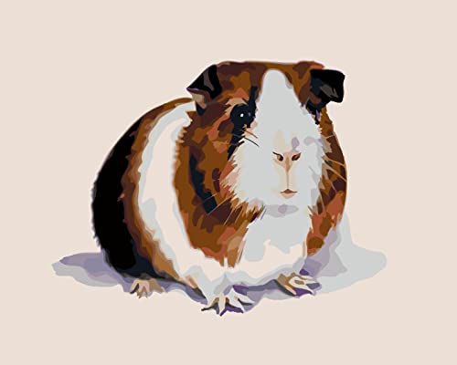 PNDGMCSY Malen Nach Zahlen Erwachsene Nettes Meerschweinchen, Malen Nach Zahlen Abstrakt Kunstdrucke, Handgemalt Ölgemälde Kits auf Leinwand für Home Haus Deko - 40 * 50 cm PNDGMCSY Malen Nach Zahlen Erwachsene Nettes Meerschweinchen, Malen Nach Zahlen Abstrakt Kunstdrucke, Handgemalt Ölgemälde Kits auf Leinwand für Home Haus Deko - 40 * 50 cm von PNDGMCSY