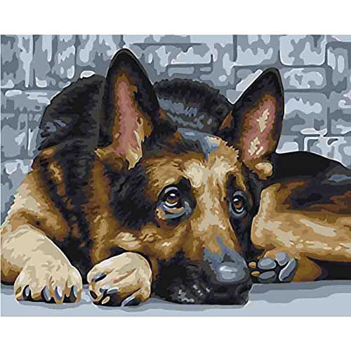 PNDGMCSY Malen nach Zahlen, Set für Erwachsene, Kinder, Anfänger, selber auf Leinwand malen nach Zahlen zur Heimdekoration, Tier Deutscher Schäferhund 40,6 x 50,8 cm PNDGMCSY Malen nach Zahlen, Set für Erwachsene, Kinder, Anfänger, selber auf Leinwand malen nach Zahlen zur Heimdekoration, Tier Deutscher Schäferhund 40,6 x 50,8 cm von PNDGMCSY