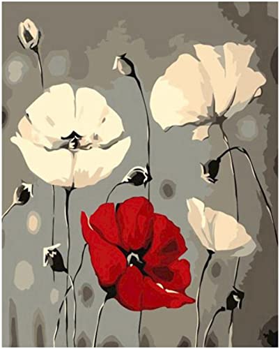 PNDGMCSY Malen nach Zahlen Mohnblumen Mohnblumen Gemälde Erwachsene DIY Kunstwerk Bild Dekor Wohnzimmer Schlafzimmer Senior Frau Anfänger 40x50 cm PNDGMCSY Malen nach Zahlen Mohnblumen Mohnblumen Gemälde Erwachsene DIY Kunstwerk Bild Dekor Wohnzimmer Schlafzimmer Senior Frau Anfänger 40x50 cm von PNDGMCSY