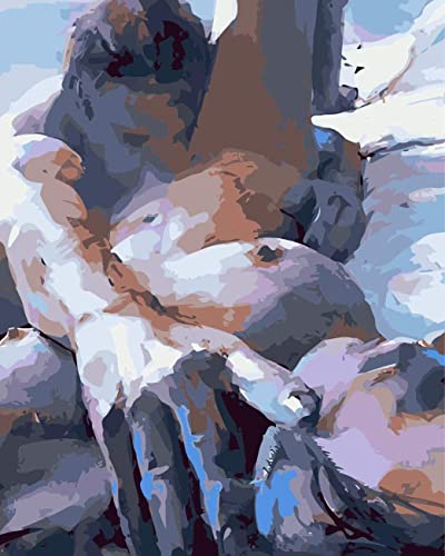 PNDGMCSY Malen nach Zahlen Nackte Liebhaber sexy Erwachsene Geschenk Malen nach Zahlen 40 x 50 cm Leinwand 3 Pinsel Acrylfarbe für Haus Deko PNDGMCSY Malen nach Zahlen Nackte Liebhaber sexy Erwachsene Geschenk Malen nach Zahlen 40 x 50 cm Leinwand 3 Pinsel Acrylfarbe für Haus Deko von PNDGMCSY