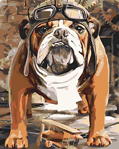 PNDGMCSY Malen nach Zahlen Painting by Numbers Kit DIY ölgemälde Kit für Erwachsene, Kinder, Anfänger Painting Set 40 * 50 cm/16 * 20 Zoll - Hund Bulldogge von PNDGMCSY