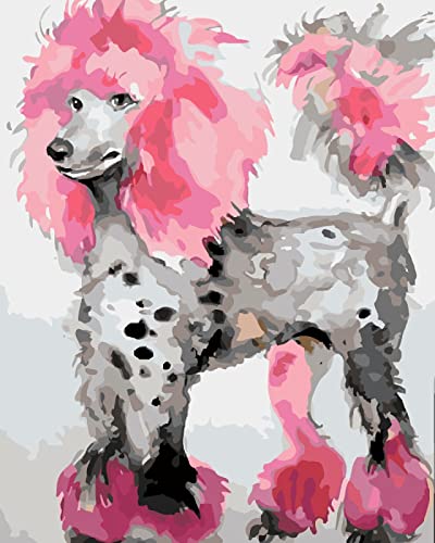 PNDGMCSY Malen nach Zahlen Rosa Pudel-Schoßhund DIY Digitale malerei by Zahlen Moderne wandkunst leinwand malerei Geschenk für Kinder wohnkultur 40x50 cm von PNDGMCSY