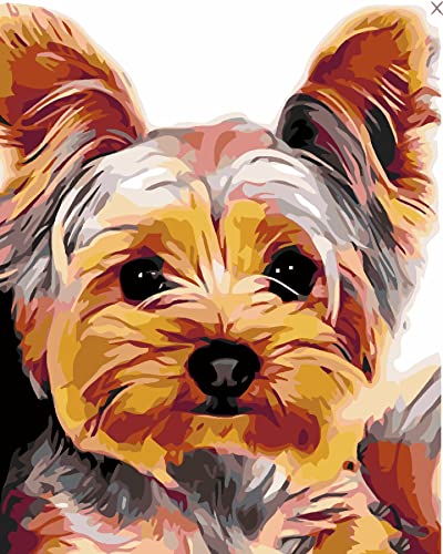 PNDGMCSY Malen nach Zahlen Yorkshire-Terrier-Hund DIY Digitale malerei by Zahlen Moderne wandkunst leinwand malerei Geschenk für Kinder wohnkultur 40x50 cm von PNDGMCSY