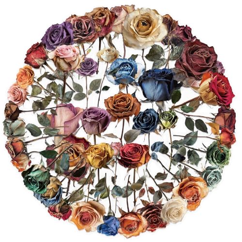 PNGIF Getrocknete Blumen Aufkleber 50 Stück, Vintage Rose Sticker für Scrapbook Journal Laptop Kindle Koffer MacBook Fahrrad, Wasserfeste Transparenter PET Decals von PNGIF