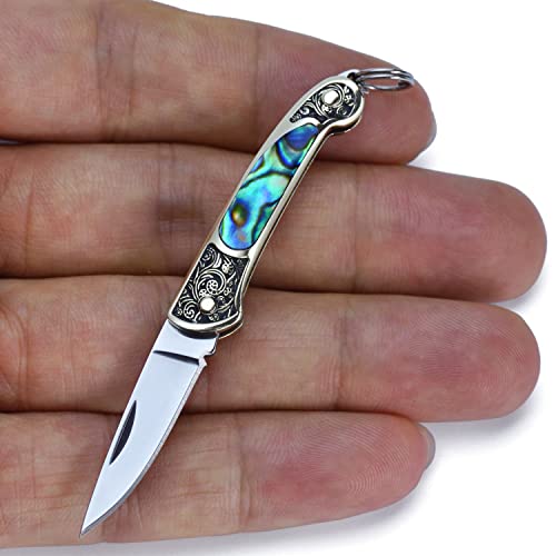 POCRROP Mini Messer - Taschenmesser klein Klappmesser EDC Messer Outdoor Pocket Knife für an den Schlüsselanhänger (Abalone-Schale) von POCRROP