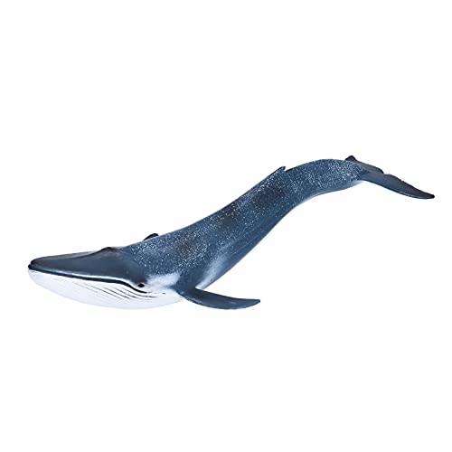 Marine Animal Toys - Langlebige Öko - Friendly PVC Drop - Proof Educational Set für Kinderlernen und Kreativität von PODSJD