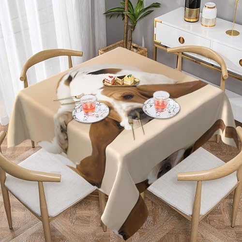 POEZJZW Quadratische Tischdecke, Motiv: Basset Hound, bedruckt, für Esstische im Innen- und Außenbereich, Esstisch, Partys, Terrassen, 137 x 137 cm POEZJZW Quadratische Tischdecke, Motiv: Basset Hound, bedruckt, für Esstische im Innen- und Außenbereich, Esstisch, Partys, Terrassen, 137 x 137 cm von POEZJZW