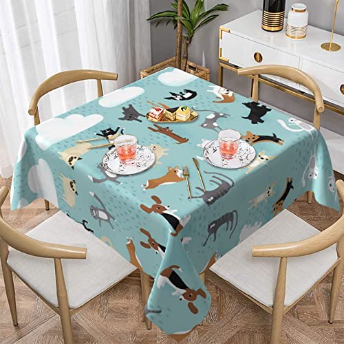 POEZJZW Quadratische dekorative Tischdecke mit Motiv "Raining Cats & Dogs" für den Innen- und Außenbereich, Esstisch, Partys, Terrassen, 137 x 137 cm von POEZJZW