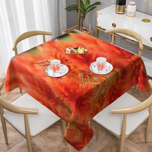 POEZJZW Quadratische dekorative Tischdecke mit rotem Schilfblumen-Druck, für Esstische im Innen- und Außenbereich, Esstische, Partys, Terrassen, 152,4 x 152,4 cm POEZJZW Quadratische dekorative Tischdecke mit rotem Schilfblumen-Druck, für Esstische im Innen- und Außenbereich, Esstische, Partys, Terrassen, 152,4 x 152,4 cm von POEZJZW