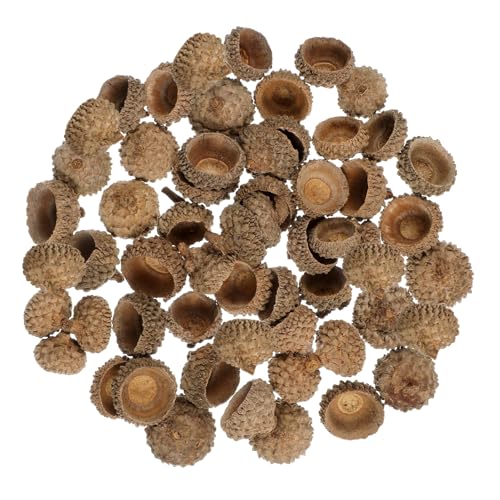 POPETPOP 50Stücke Natürliche Eichelhüllen für Weihnachtsbaum Getrocknete Ornament Set für DIY Handwerk und Herbstfeiern Umweltfreundliche Eichelverzierung POPETPOP 50Stücke Natürliche Eichelhüllen für Weihnachtsbaum Getrocknete Ornament Set für DIY Handwerk und Herbstfeiern Umweltfreundliche Eichelverzierung von POPETPOP