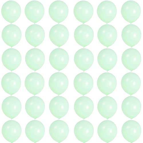 Kleine Luftballons Mini Pastell Grün 5 Zoll,36 Stück Macaron Grün Luftballons Helium Ballons,Hellgrün Latex Luftballons für Geburtstag,Hochzeit,Geschlecht Offenbaren,Brautdusche,Babyparty Dekorationen Kleine Luftballons Mini Pastell Grün 5 Zoll,36 Stück Macaron Grün Luftballons Helium Ballons,Hellgrün Latex Luftballons für Geburtstag,Hochzeit,Geschlecht Offenbaren,Brautdusche,Babyparty Dekorationen von POPOYU