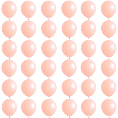 Kleine Luftballons Mini Pastell Orange 5 Zoll,36 Stück Macaron Orange Luftballons Helium Ballons,Latex Luftballons für Geburtstag,Hochzeit,Geschlecht Offenbaren,Brautdusche,Babyparty Dekorationen Kleine Luftballons Mini Pastell Orange 5 Zoll,36 Stück Macaron Orange Luftballons Helium Ballons,Latex Luftballons für Geburtstag,Hochzeit,Geschlecht Offenbaren,Brautdusche,Babyparty Dekorationen von POPOYU