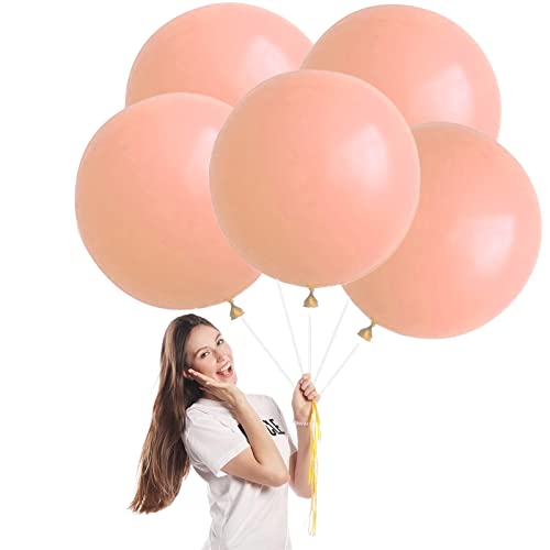 Luftballons Pastell Orange Groß 45cm/18 Zoll,5 Stück Macaron Orange Riesen Luftballons XXL Runde Helium Ballons,Latex Luftballon Partyballons für Geburtstag,Hochzeit,Brautdusche,Babyparty Dekor Luftballons Pastell Orange Groß 45cm/18 Zoll,5 Stück Macaron Orange Riesen Luftballons XXL Runde Helium Ballons,Latex Luftballon Partyballons für Geburtstag,Hochzeit,Brautdusche,Babyparty Dekor von POPOYU
